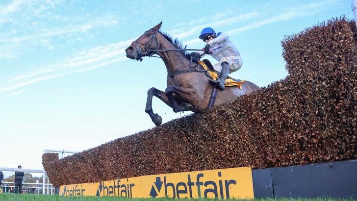 Horse racing at Haydock
